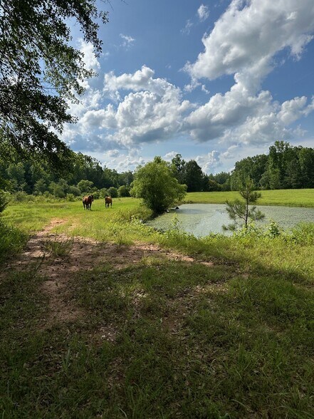 More Photos Of 4091 Hollonville Rd, Williamson Land For Sale