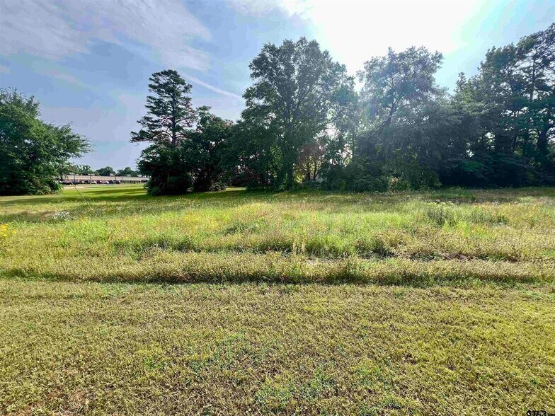 More Photos Of 101 Texas 300, Gilmer Land For Sale