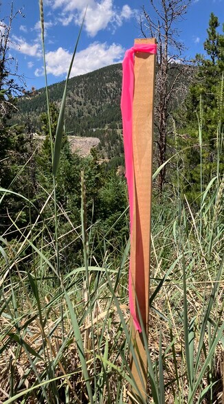 More Photos Of 1 Miners Rd, Black Hawk Land For Sale