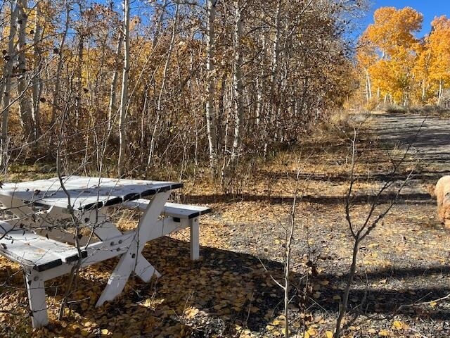 More Photos Of 3927 Crowley Lake Dr, Mammoth Lakes Land For Sale