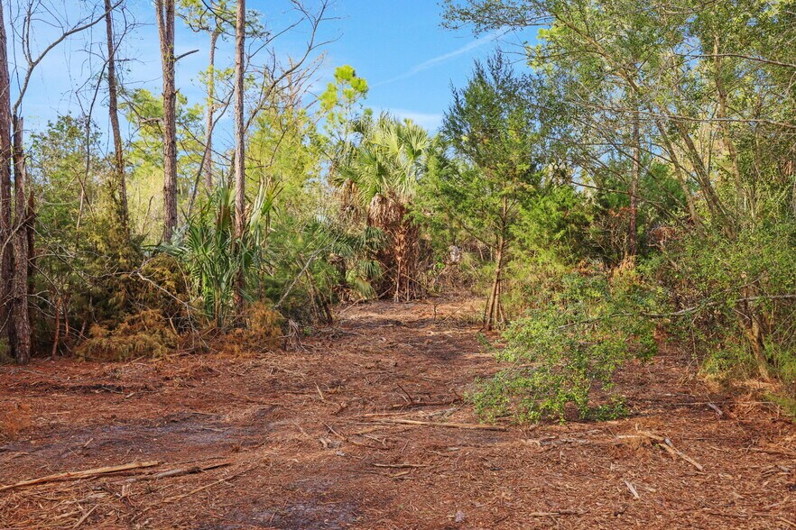 More Photos Of 1133 Girvin Rd, Jacksonville Land For Sale