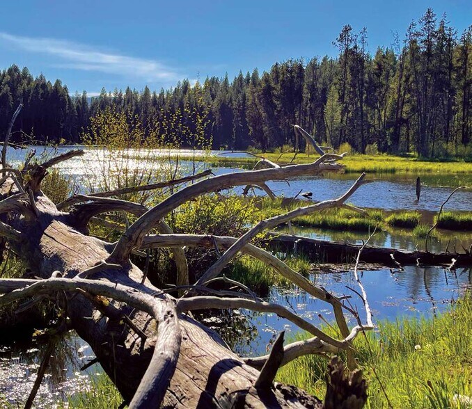 More Photos Of 1 812 Acres Big Creek Meadows, Cascade Land For Sale