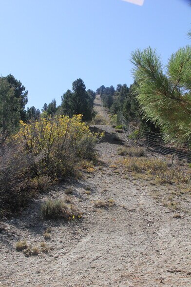 More Photos Of 20.22 acres, Alton Land For Sale