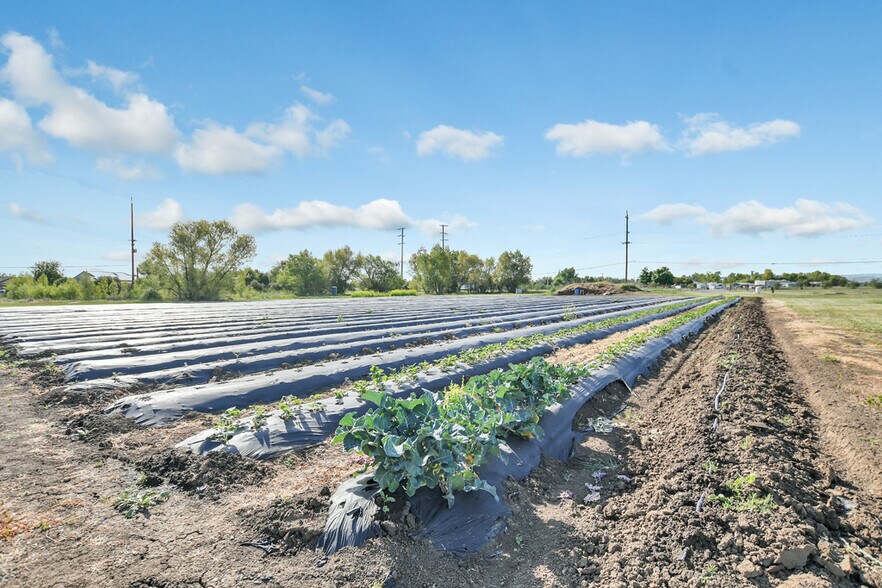 More Photos Of 8091 Balfour Rd, Brentwood Lodge Meeting Hall For Sale