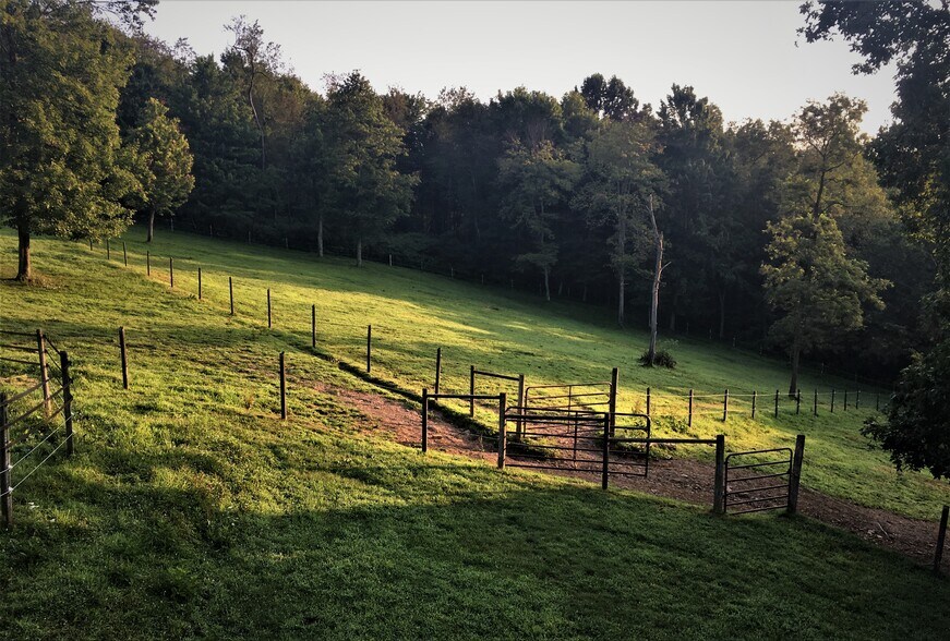 More Photos Of 316 Noll Rd, Georgetown Specialty For Sale