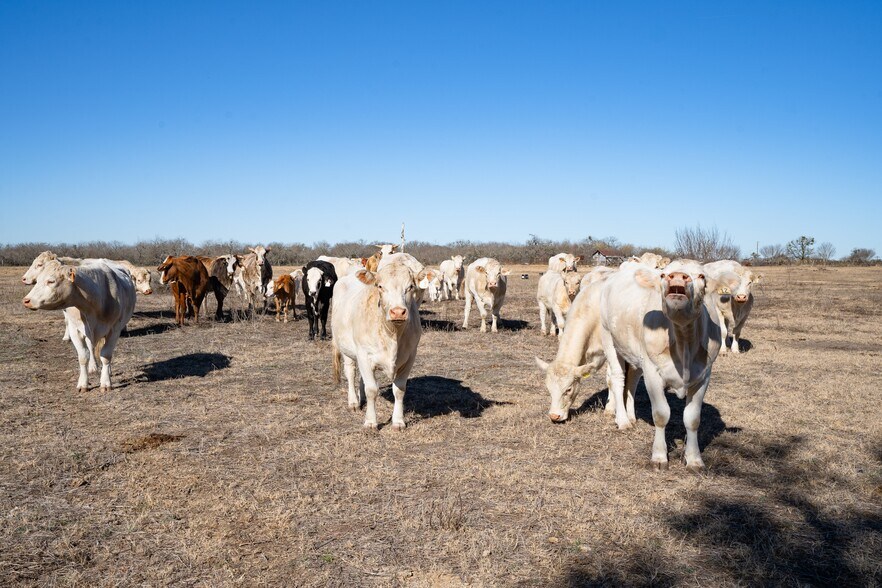 More Photos Of TBD Richards Dr, Del Valle Land For Sale