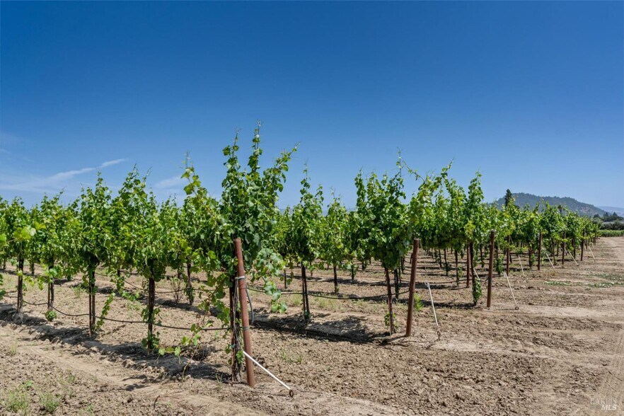 More Photos Of 1580 Magnolia Dr, Healdsburg Land For Sale