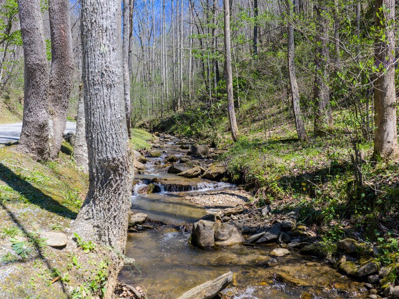 More Photos Of 95 Upstream Campus Trl, Sylva Schools For Sale