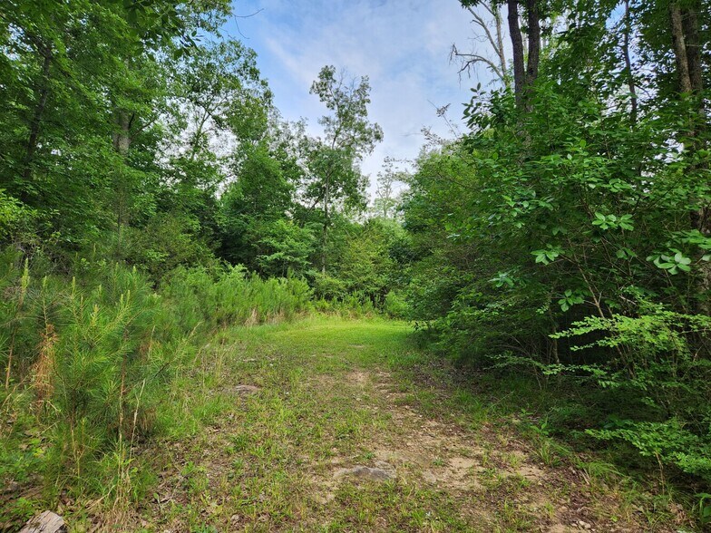 More Photos Of 2725 White Rd NE, Conyers Land For Sale