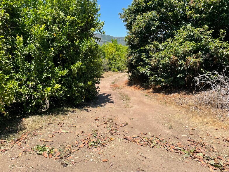 More Photos Of 44952 Vista del Mar, Temecula Winery Vineyard For Sale