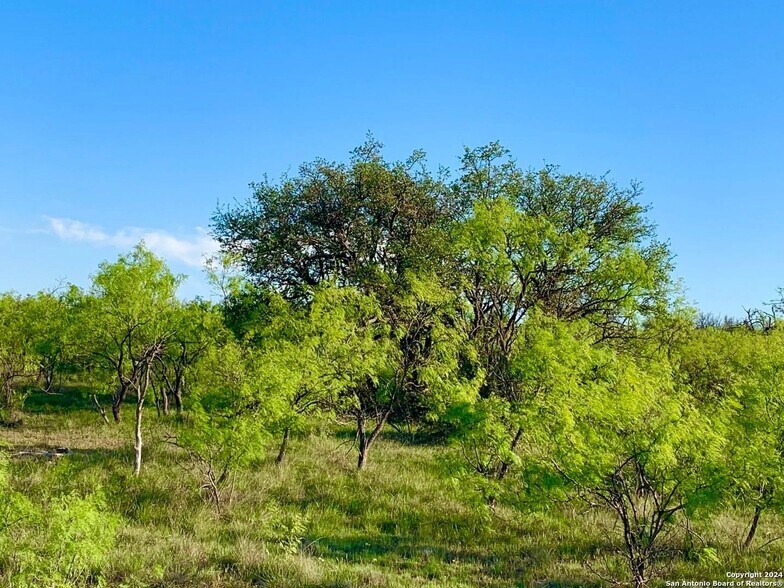 More Photos Of 4703 Scenic Lake Dr, Schertz Land For Sale