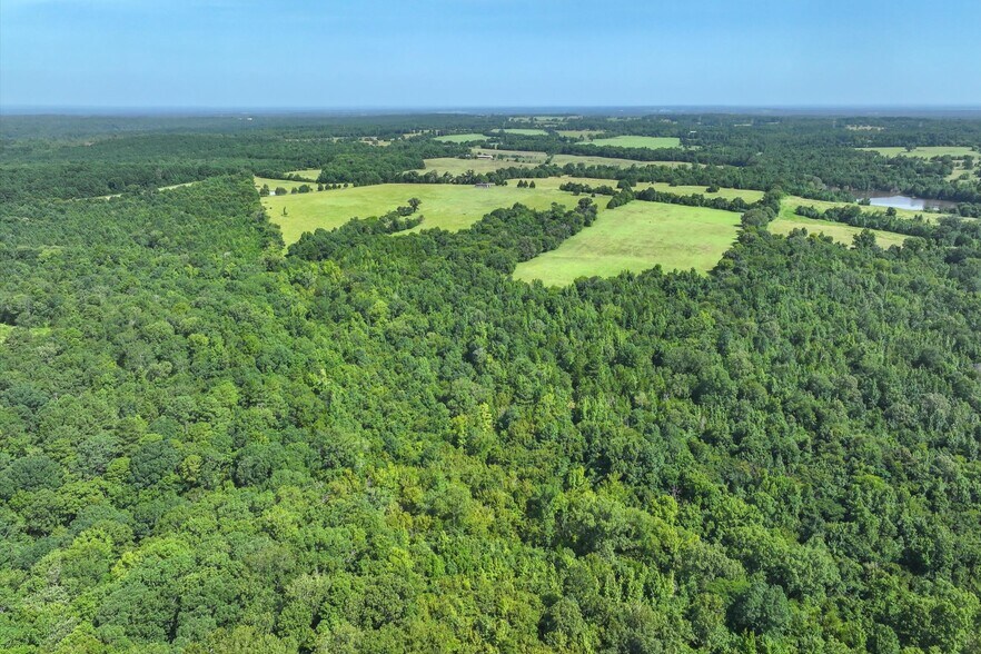 More Photos Of 00 County Road 4501, Jacksonville Land For Sale