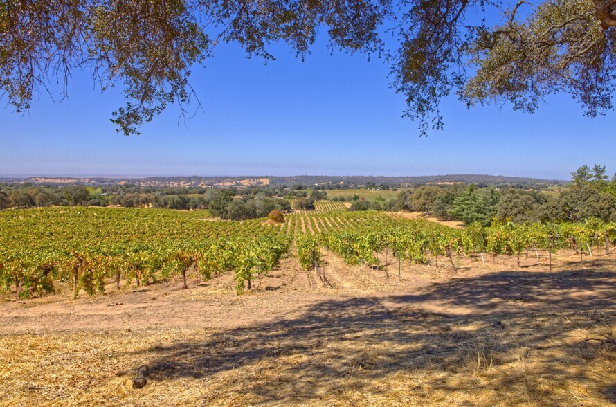 More Photos Of 20680 Shenandoah School Rd, Plymouth Winery Vineyard For Sale