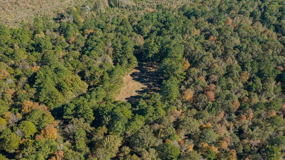 More Photos Of 12806 Wood Rd, Diana Land For Sale