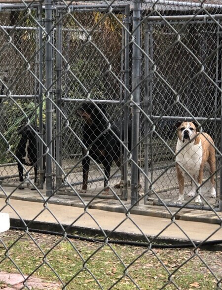 More Photos Of 22129 Carson Dr, Land O' Lakes Specialty For Sale