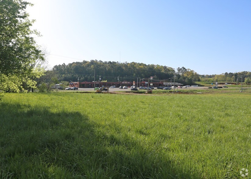 More Photos Of Hwy 78 & Magnolia St, Lincoln Land For Sale