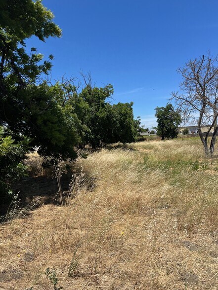 More Photos Of 773 San Felipe Rd, Hollister Land For Sale
