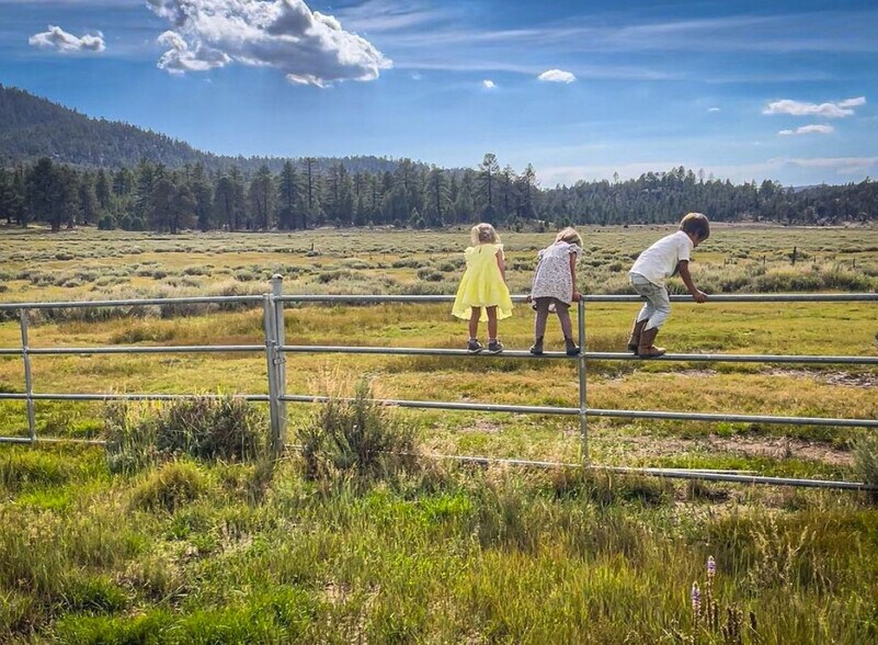 More Photos Of 34300 Holcomb Valley Rd, Fawnskin Land For Sale