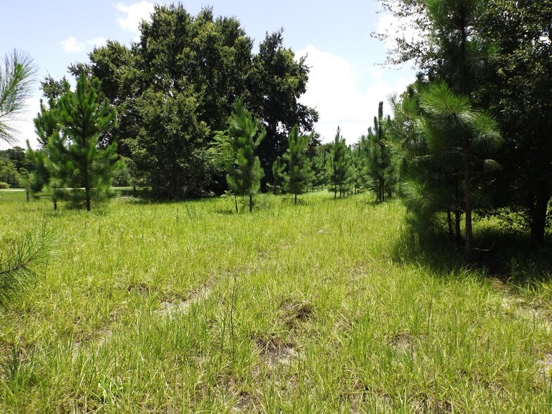 More Photos Of Myrtle Lake Ave, Fruitland Park Land For Sale