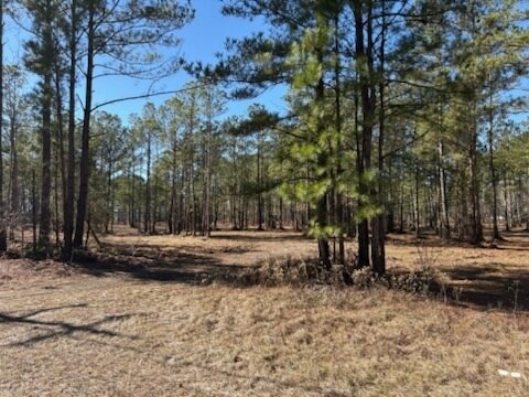 More Photos Of North Fraser St, Georgetown Land For Sale