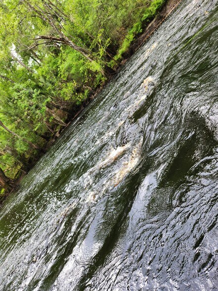 More Photos Of 6939 SW 1 Federal Rd, Lamont Land For Sale