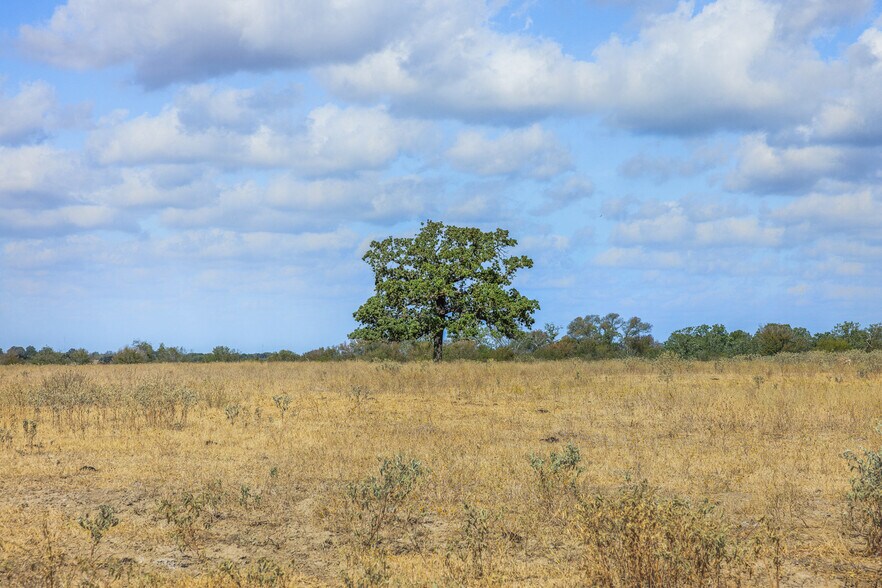 More Photos Of 11915 FM 86, Lockhart Land For Sale