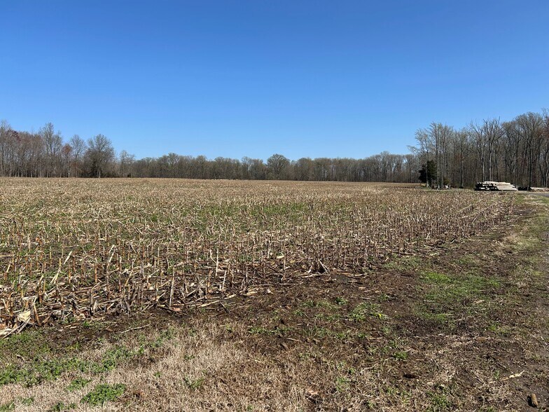 More Photos Of 556 Union Church Rd, Townsend Land For Sale