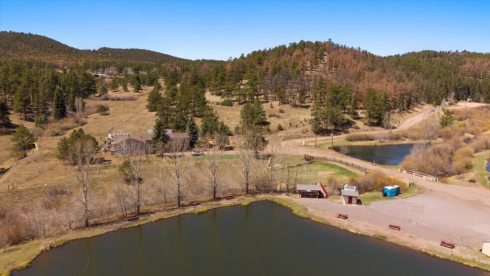 More Photos Of , Pine Land For Sale