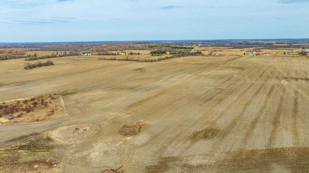 Primary Photo Of 26758 County Rte 16, Evans Mills Land For Sale