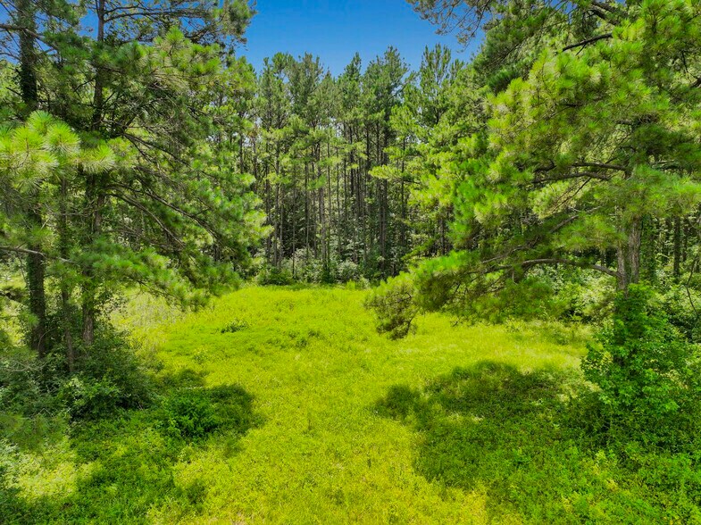 More Photos Of 386 County Road 784, Buna Land For Sale