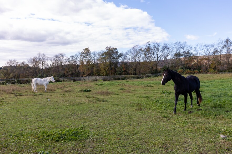 More Photos Of 4 Whitman Rd, Stephentown Sports And Entertainment For Sale