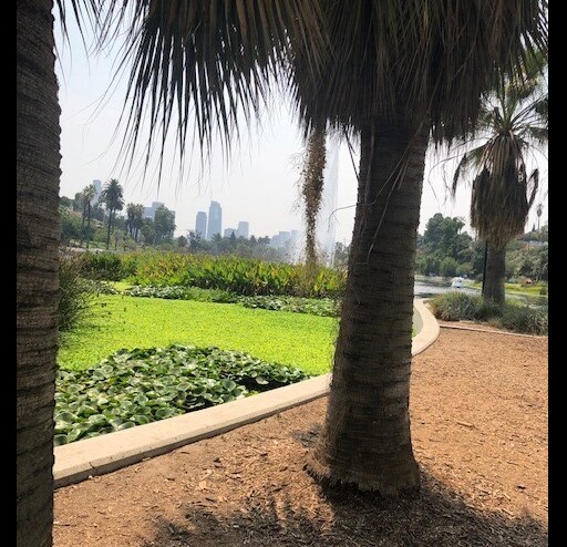 More Photos Of 1227 W Temple St, Los Angeles Loft Creative Space For Lease