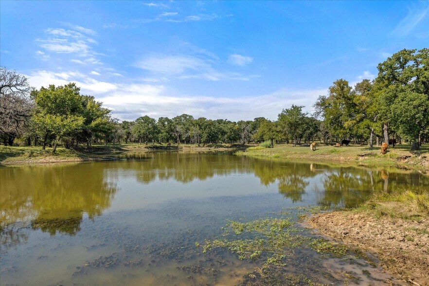 More Photos Of 11230 Light Rd, Lipan Land For Sale