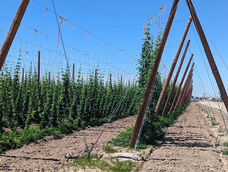 More Photos Of Simplot, Caldwell Land For Sale