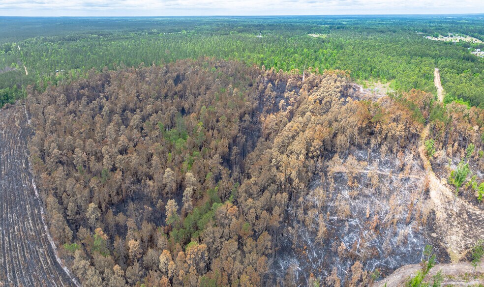 More Photos Of 00 Rice Rd, Ridgeville Land For Sale