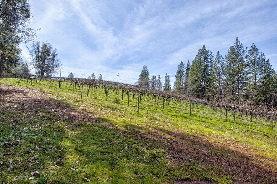 More Photos Of 4771 Greenhills Rd, Placerville Winery Vineyard For Sale