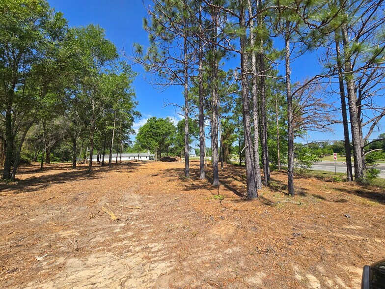 More Photos Of 2126 Dothan Rd, Bainbridge Land For Sale