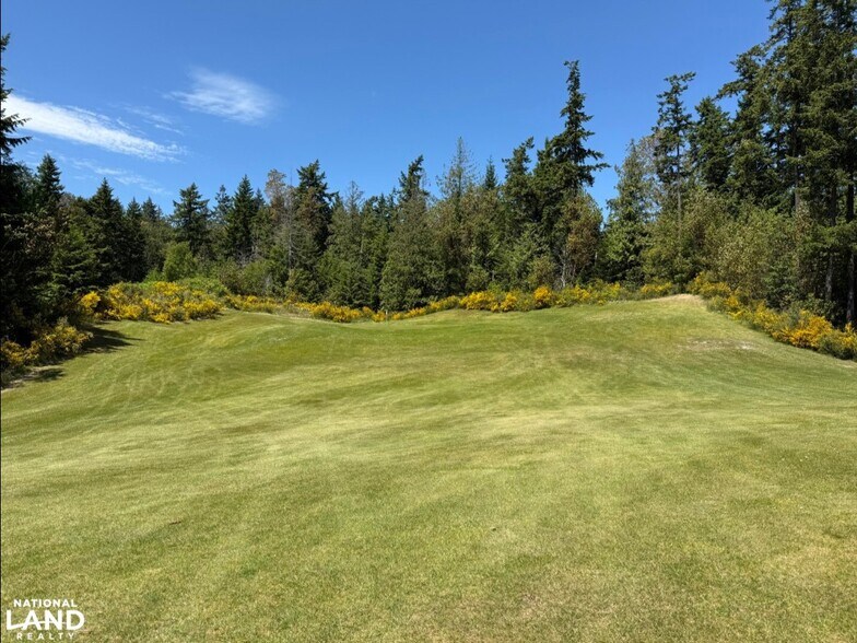 More Photos Of 7401 Cape George Rd, Port Townsend Land For Sale