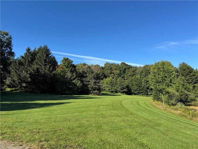 More Photos Of 175 Hovick Rd, Hartwick Land For Sale