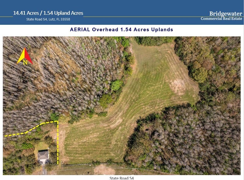 More Photos Of State Road 54, Land O' Lakes Land For Sale