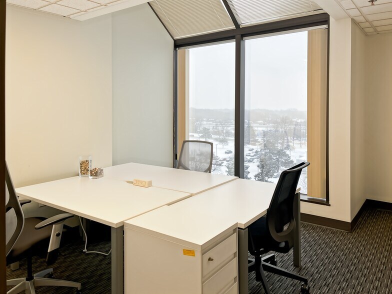 More Photos Of 39555 Orchard Hill Pl, Novi Coworking Space