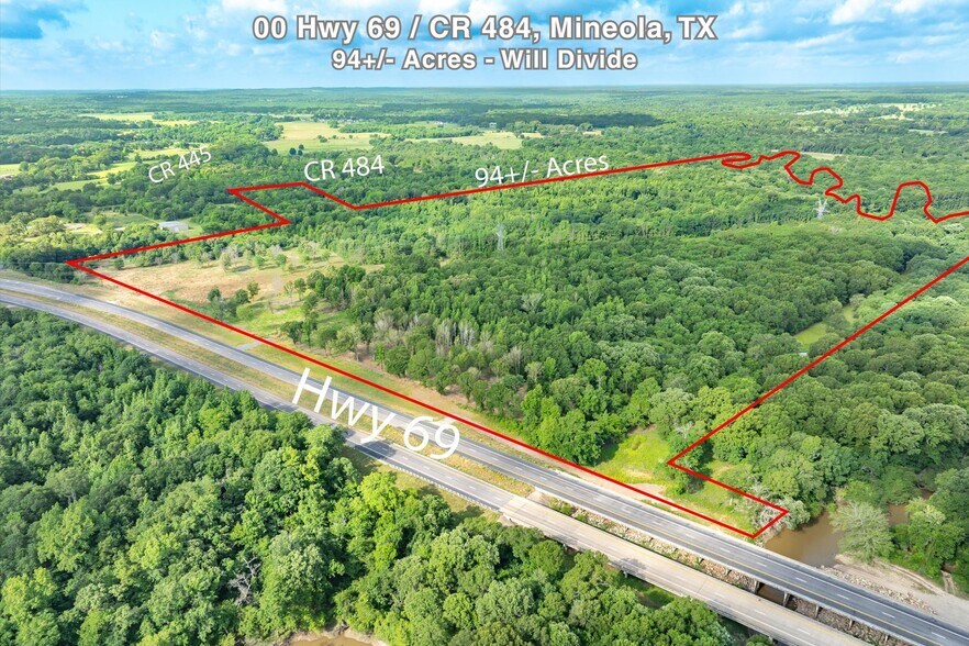 Primary Photo Of 00 Hwy 69/CR 484 hwy, Mineola Land For Sale