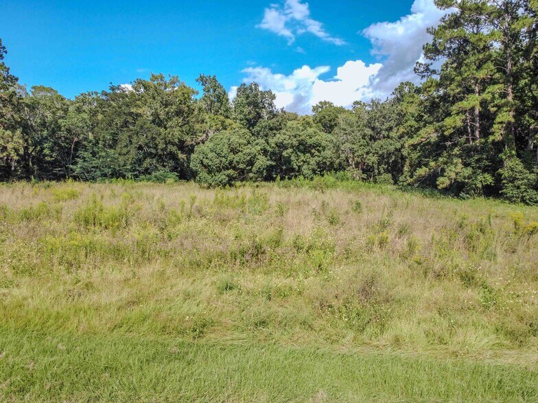 More Photos Of 3305 Highway 17, Green Cove Springs Land For Sale