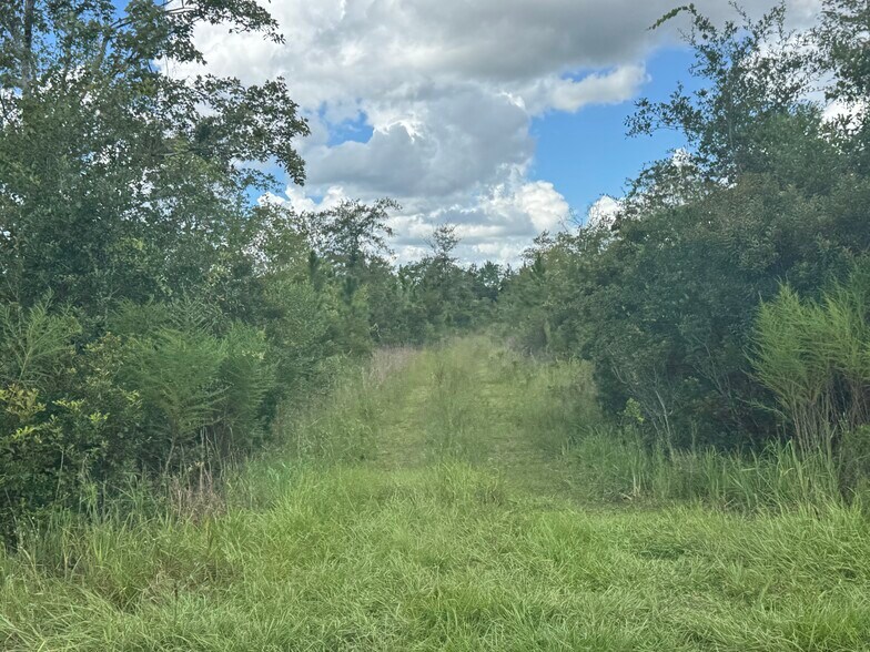 More Photos Of Noah Raulerson Road, Sanderson Land For Sale