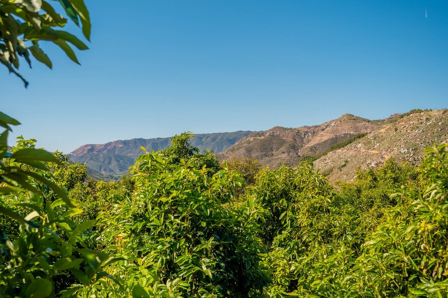 More Photos Of 15-16 Camaron Rd, Temecula Land For Sale