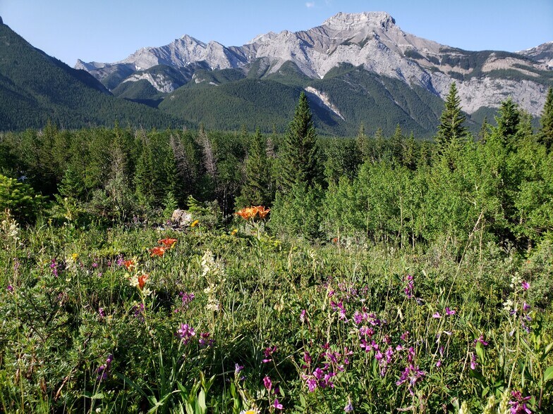 More Photos Of Heart Mountain Dr, Exshaw Land For Sale