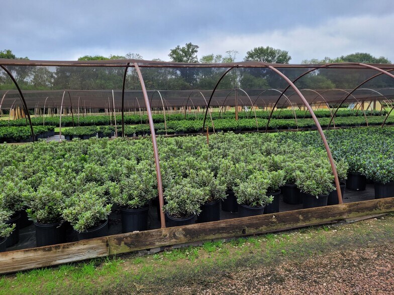 More Photos Of 1242 Minter ln, Walkerton Land For Sale