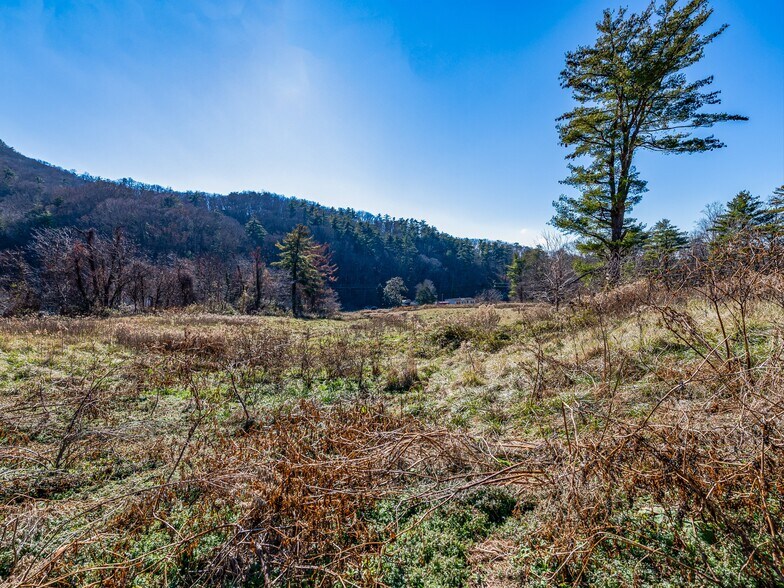 More Photos Of 300 Baird Cove Rd, Asheville Land For Sale