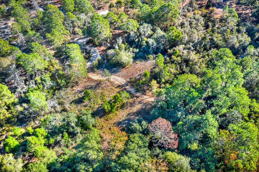 More Photos Of 1800 E Claradge Ave, Avon Park Land For Sale