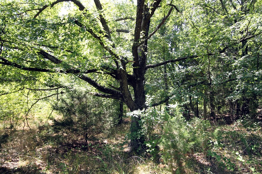 More Photos Of 13305 Joe Allen Rd, Pilot Point Land For Sale